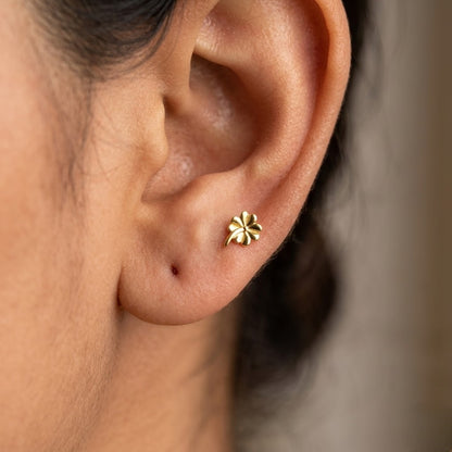 9K Gold Lucky Clover Second Stud Earrings