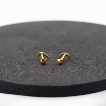9K Gold Curved Moon Horn Second Stud Earrings