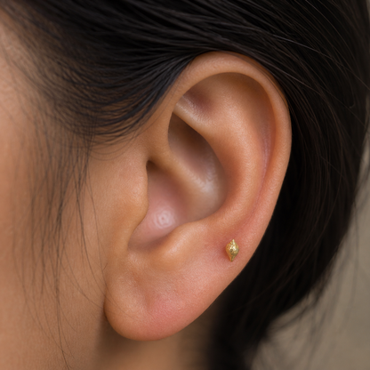 9K Gold Conch Shell Second Stud Earrings